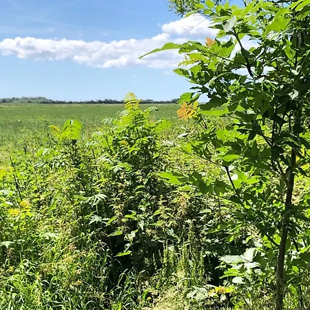 Tatil Evi Haushaelfte Henriette Emmelsbuell-horsbuell