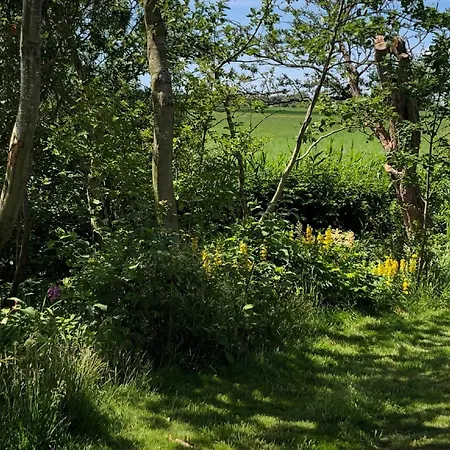 Haushaelfte Henriette Emmelsbuell-horsbuell * Emmelsbüll-Horsbüll